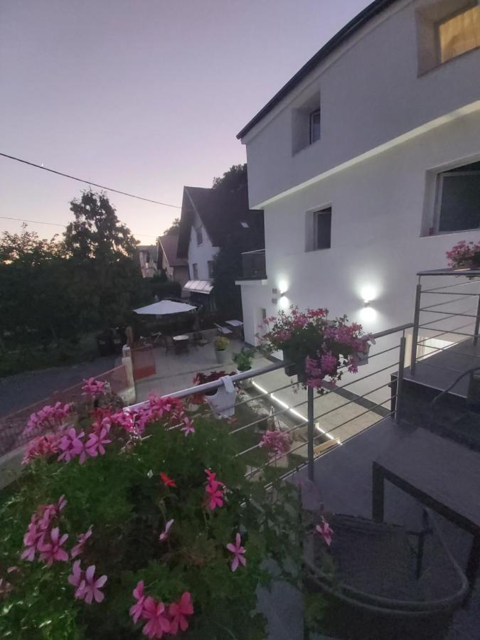 Rooms Panda Maribor Eksteriør bilde